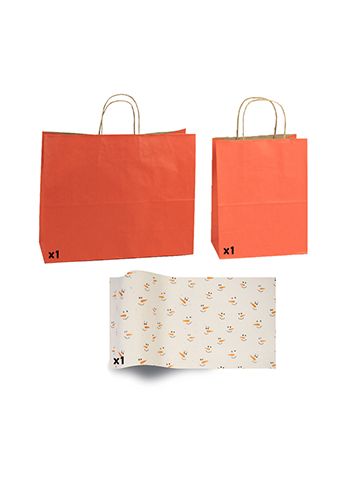 Tera cotta Shadow Stripe Bags and Printed Tissue Paper