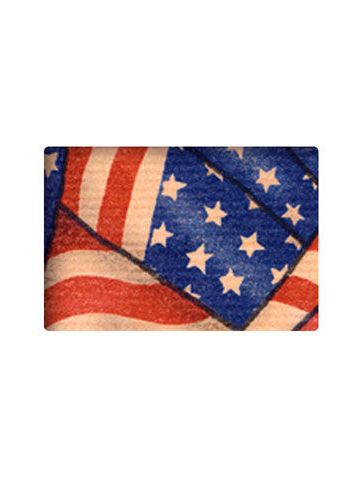 Everyday Gift Enclosure Card, Americana