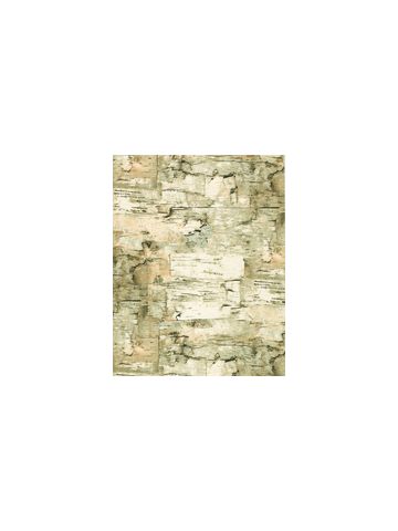 Paper Birch, Masculine Gift Wrap